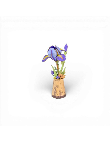 PURPLE IRIS